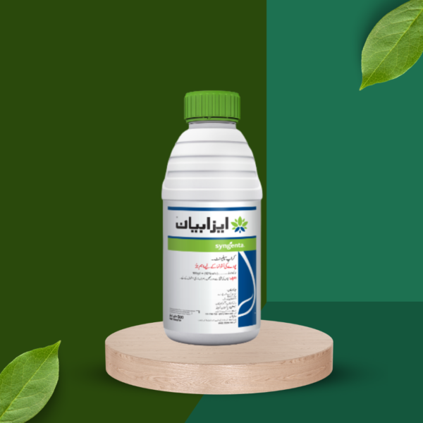 Isabion (1L)