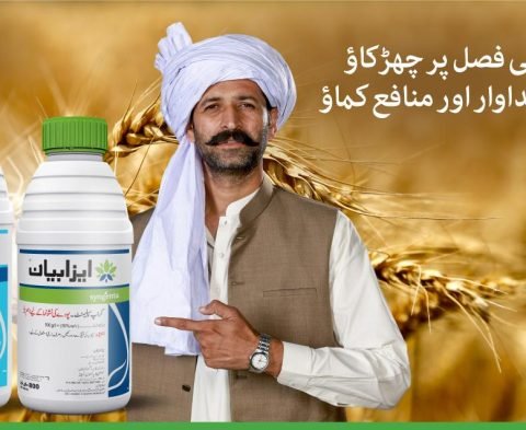 Website-Banner-tilt+isabion_1132x637