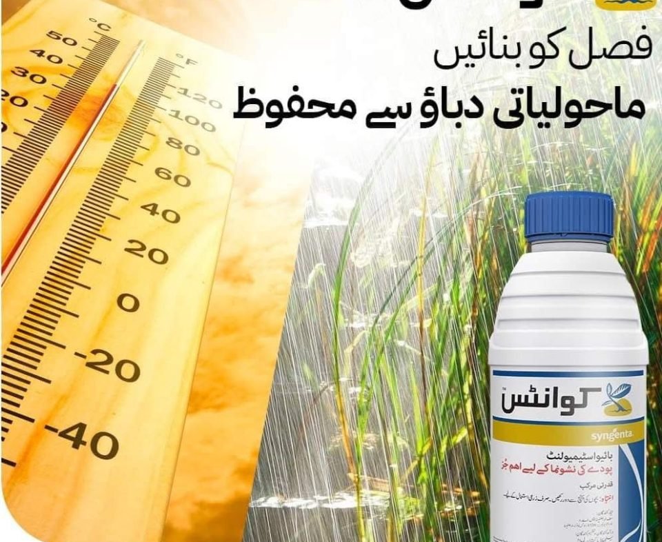 WhatsApp Image 2025-02-07 at 10.21.28 AM